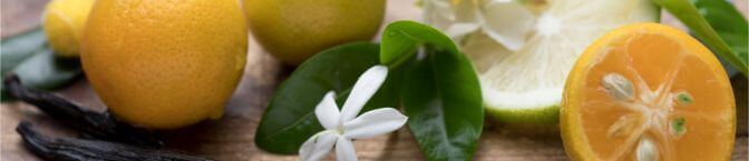 シトラス ブロッサム Sabon サボン 公式通販 シトラス ブロッサム Sabon サボン 公式通販