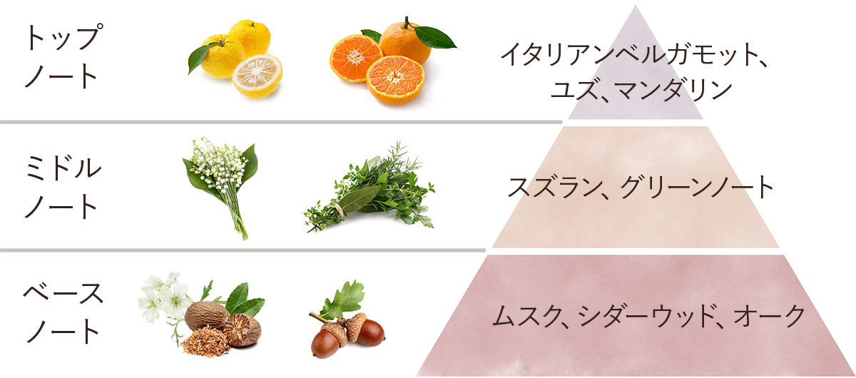 ジェントルマン ハンドクリーム チューブ ジェントルマン Sabon サボン ジェントルマン ハンドクリーム チューブ ジェントルマン Sabon サボン
