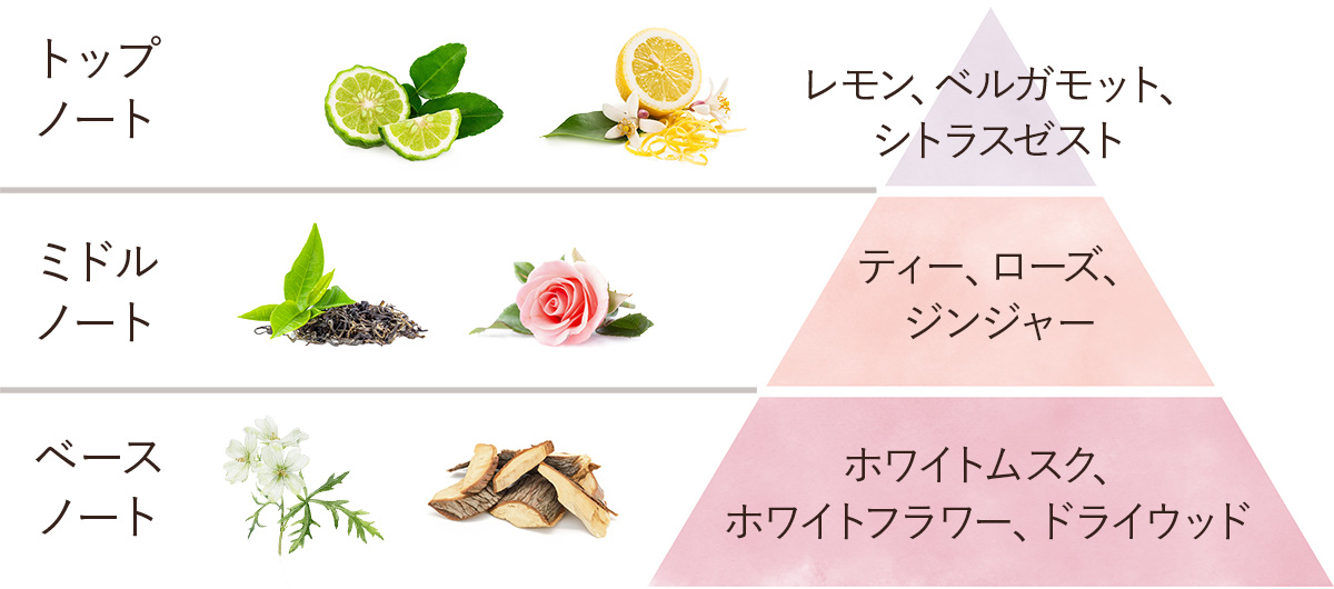 ボディスクラブ グリーン ローズ Sabon サボン ボディスクラブ グリーン ローズ Sabon サボン