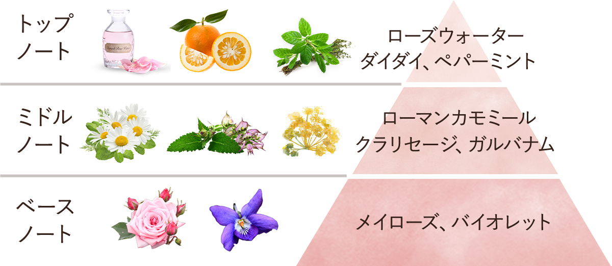 ローズセラムインオイル (フローラル・マリン)』 | SABON (サボン)
