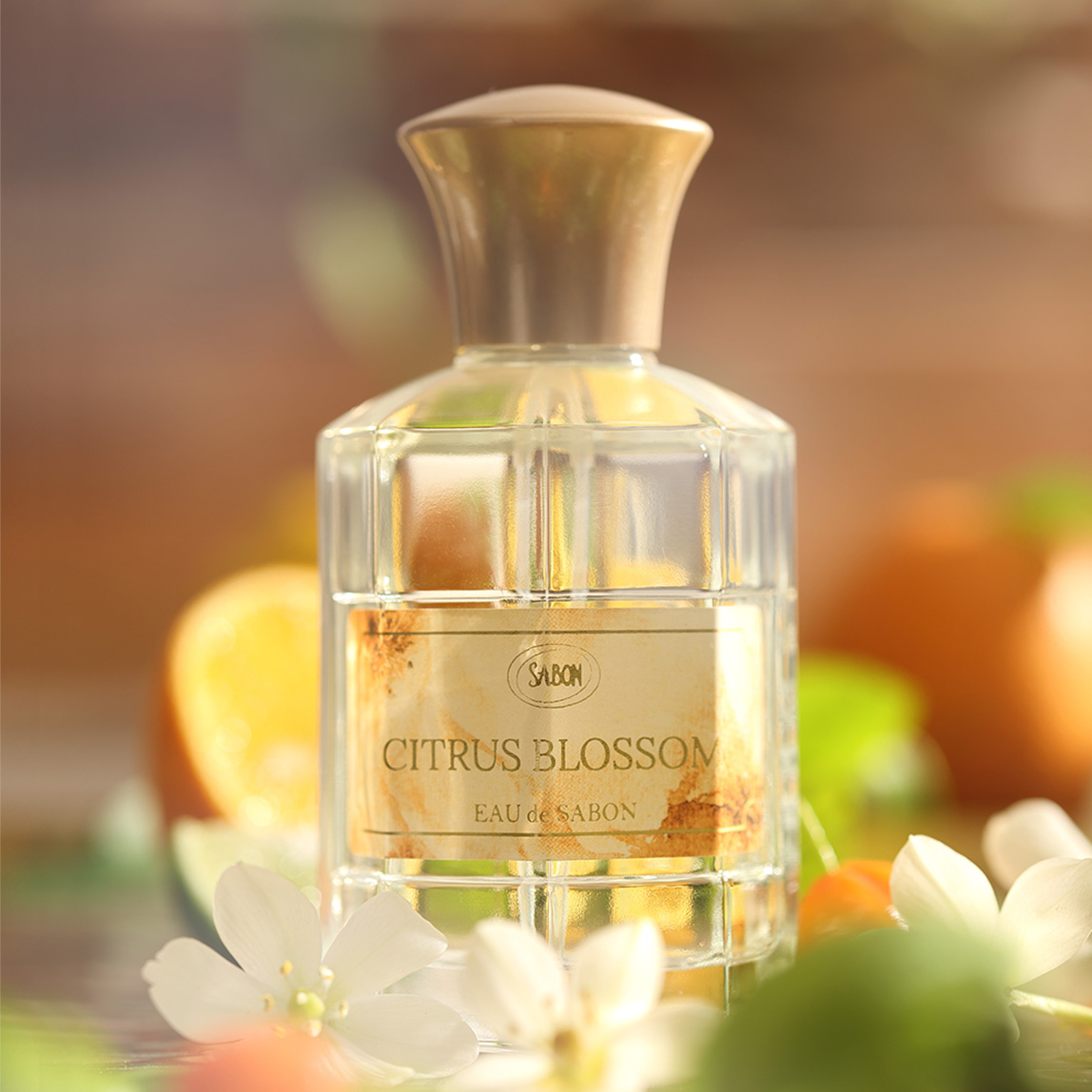 店舗完売 数量限定 SABON サンシャインキットシトラスブロッサム 店舗完売 数量限定 SABON サンシャインキットシトラスブロッサム