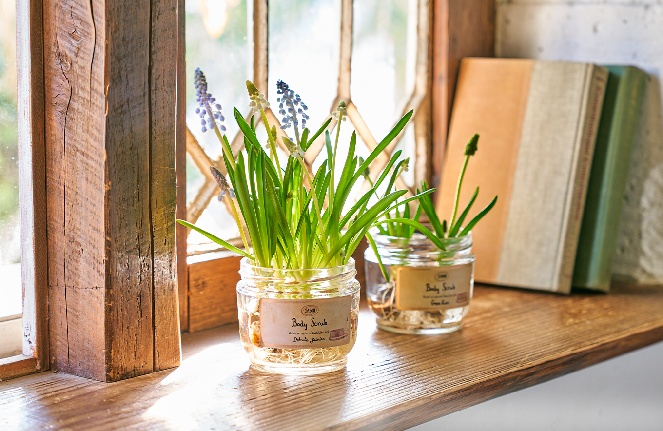Bulb plant at Home