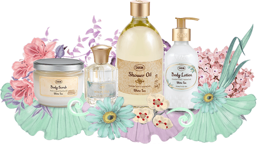 12周年記念イベントが SHIRO WHITE TEA ホワイトティー ボディミルク 195g