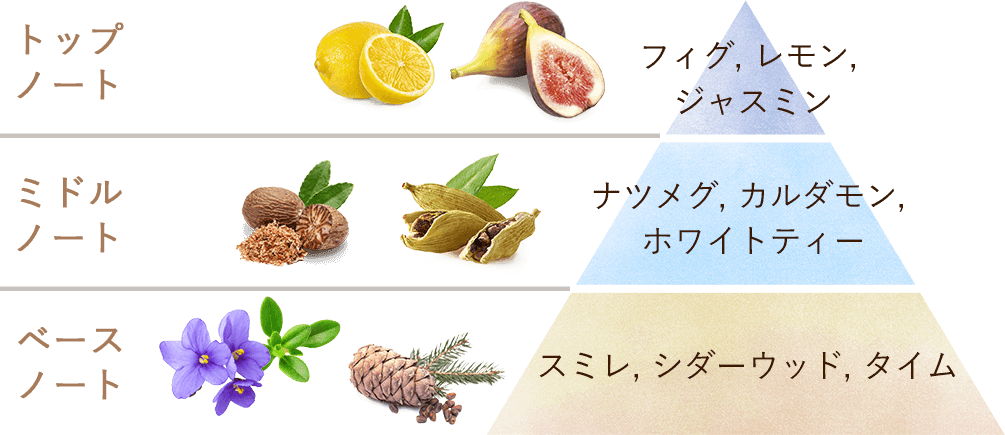 ホワイトティーコレクション 「White Tea Collection」 | SABON サボン
