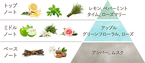 ミンティ・スパークの香り