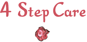 4 Step Care