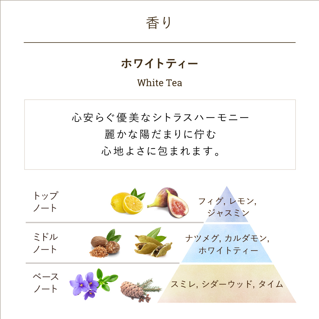 内藤哲也 リストバンド jasmineさん専用